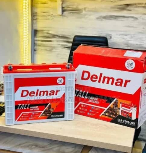 Delmar 220a 12v Tubular Battery